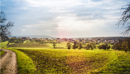 創(chuàng)收創(chuàng)富，產(chǎn)業(yè)扶貧