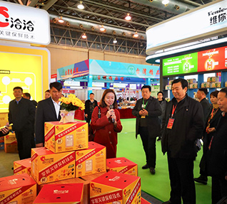 洽洽小黃袋每日?qǐng)?jiān)果亮相中國(guó)安徽農(nóng)產(chǎn)品產(chǎn)銷對(duì)接會(huì)